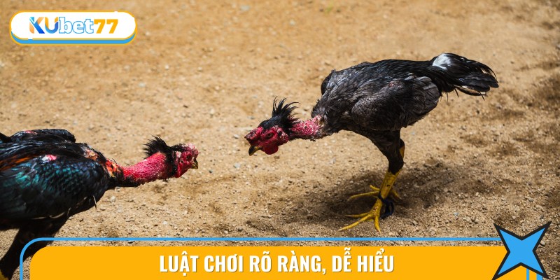 Xem Đá Gà Campuchia Hấp Dẫn: Thủ Thuật Chơi Hay Nhất 3 Nắm Vững Luật Chơi Để Cá Cược Hiệu Quả