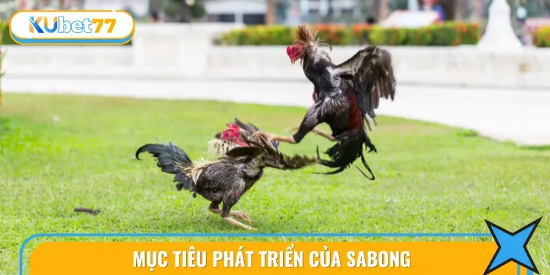 Đá Gà Sabong Tại KUBET77 - Cược Chính Xác, Dễ Thắng Lớn 3 Những mục tiêu của sabong đối với người chơi